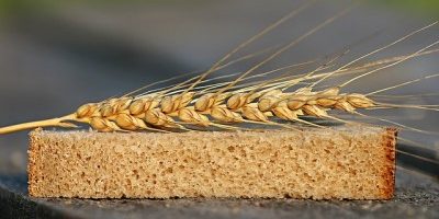 bread-1520402 хляб