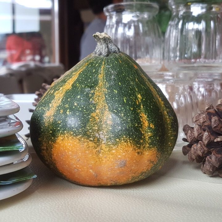 празник на тиквата