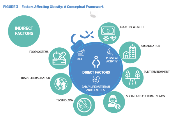 factors affecting obesity: a conceptual framework